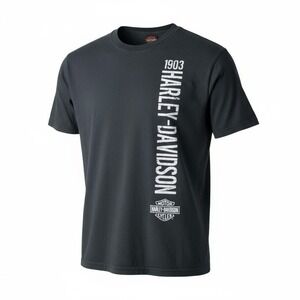 Harley-Davidson Windy City Chicago T-Shirt Mens 2XL Dark Green 1903 Graphic Tee